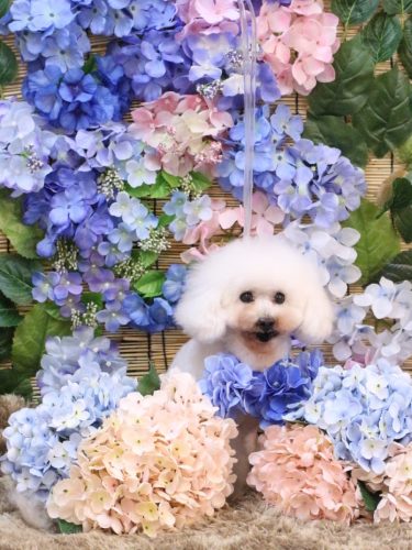 20250627チュッチュくん